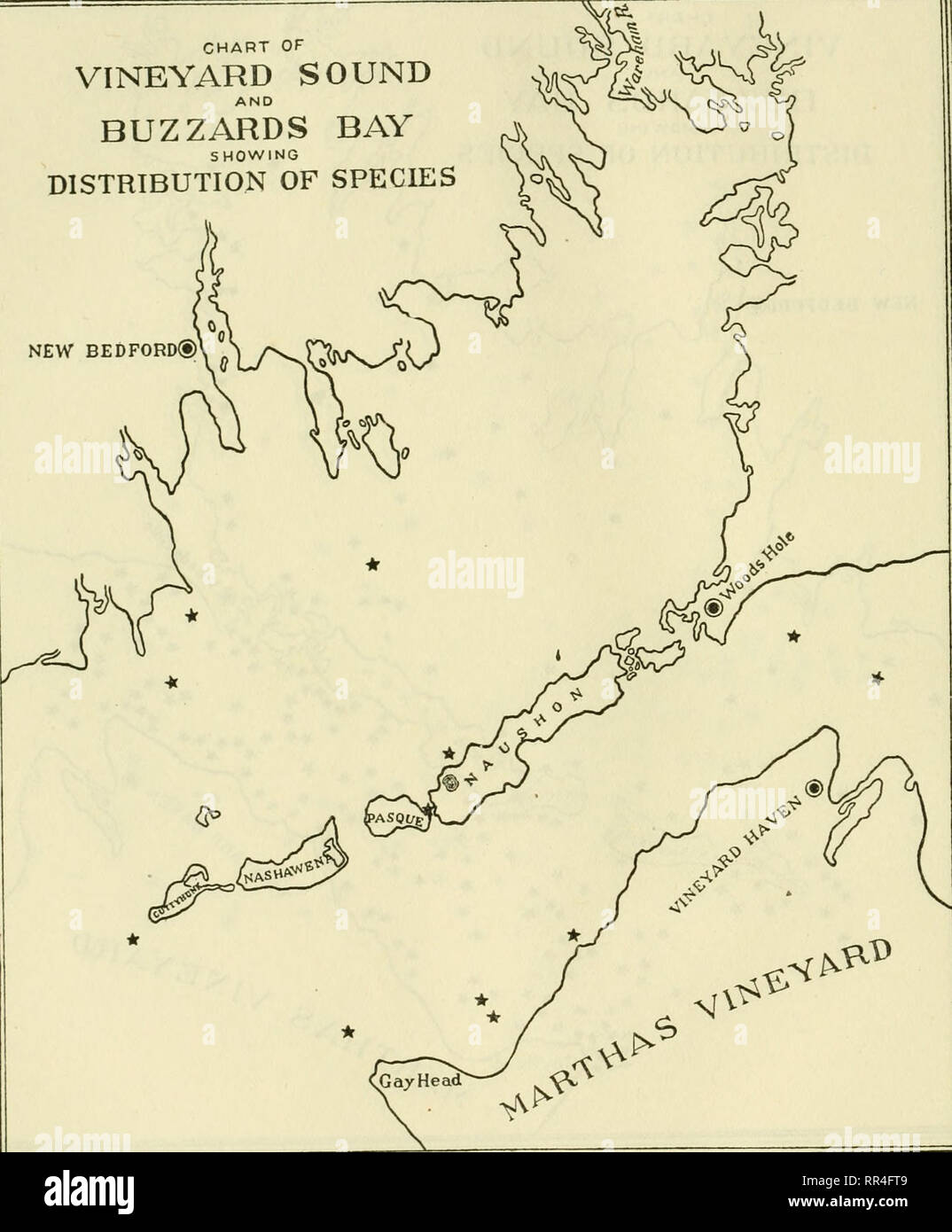 . [A biological survey of the waters of Woods Hole and vicinity. Marine animals; Marine plants. 246 BULLETIN OF THE BUREAU OF FISHERIES. CHART OF VINEYARD SOUND BUZZARDS BAY SHOWING DISTRIBUTION OF SPECIES )q^ NEW BEDFORD®. Chart 28.—Tubulipora liliacea.. Please note that these images are extracted from scanned page images that may have been digitally enhanced for readability - coloration and appearance of these illustrations may not perfectly resemble the original work.. Sumner, Francis Bertody, 1874-; Osburn, Raymond C. (Raymond Carroll), 1872-1955; Cole, Leon Jacob, 1877-; Davis, Bradley M. Stock Photo