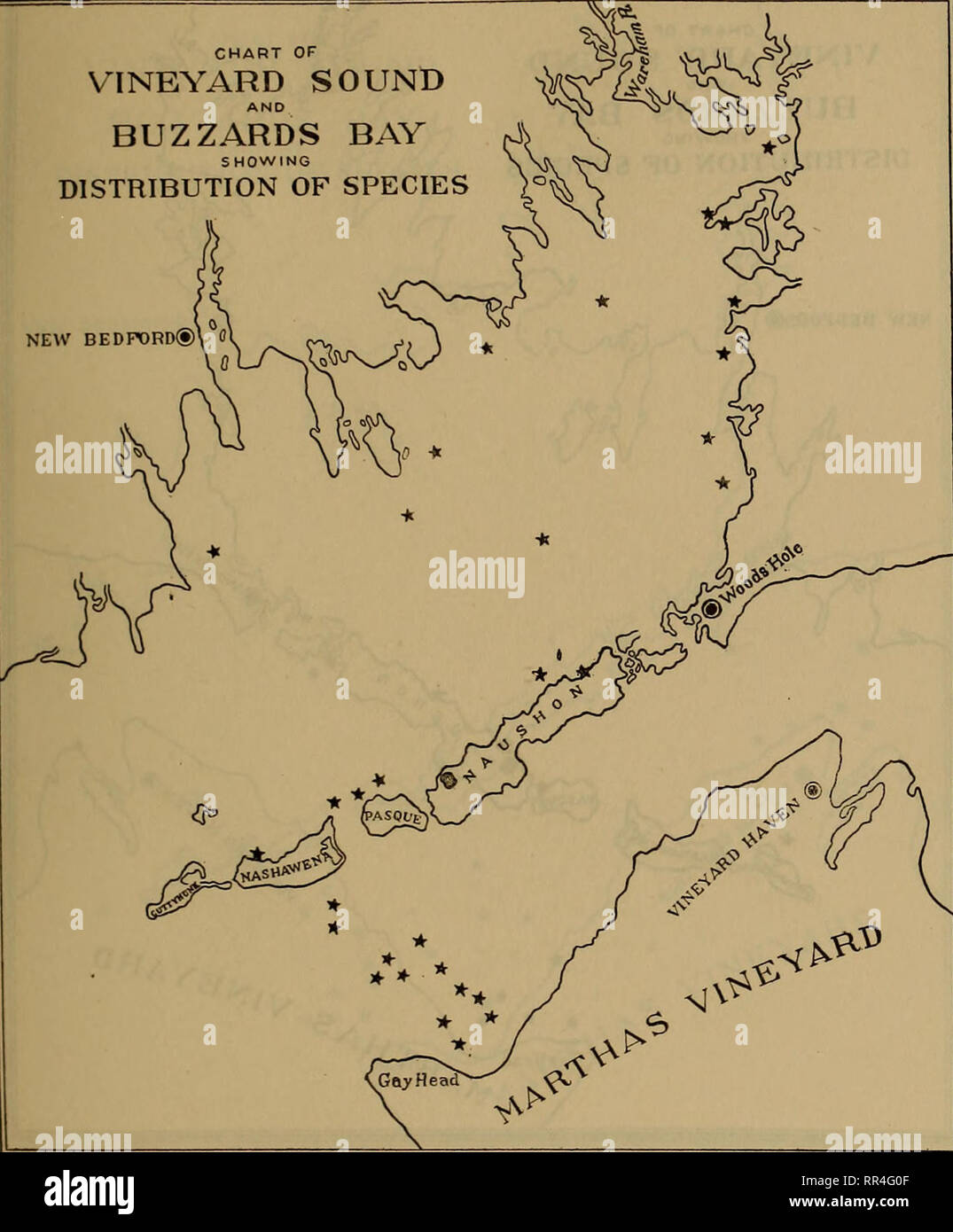. [A biological survey of the waters of Woods Hole and vicinity. Marine animals; Marine plants. BIOLOGICAL SURVEY OF WOODS HOLE AND VICINITY. 223 CHART OF VINEYARD SOUND BUZZARDS BAY SHOWING DISTRIBUTION OF SPECIES NEW BEDF)RD® 0. Chart 5.—Polymorphina lactea.. Please note that these images are extracted from scanned page images that may have been digitally enhanced for readability - coloration and appearance of these illustrations may not perfectly resemble the original work.. United States. Bureau of Fisheries; Sumner, Francis Bertody, 1874-; Osburn, Raymond Carroll, 1872-; Cole, Leon Jaco Stock Photo