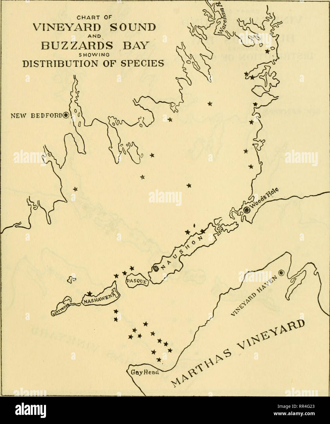 . [A biological survey of the waters of Woods Hole and vicinity. Marine animals; Marine plants. BIOLOGICAIy SURVEY OF WOODS HOI^E AND VICINITY. 223 CHART OF VINEYARD SOUND BUZZARDS BAY SHOWING DISTRIBUTION OF SPECIES NEW BEDFORD®. Chart 5.—Polymorphina lactea.. Please note that these images are extracted from scanned page images that may have been digitally enhanced for readability - coloration and appearance of these illustrations may not perfectly resemble the original work.. Sumner, Francis Bertody, 1874-; Osburn, Raymond C. (Raymond Carroll), 1872-1955; Cole, Leon Jacob, 1877-; Davis, Brad Stock Photo