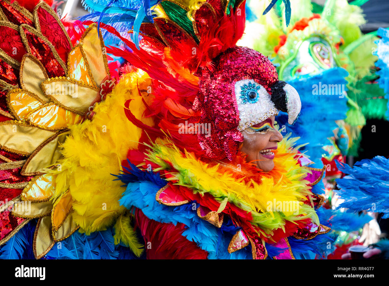 samba feathers