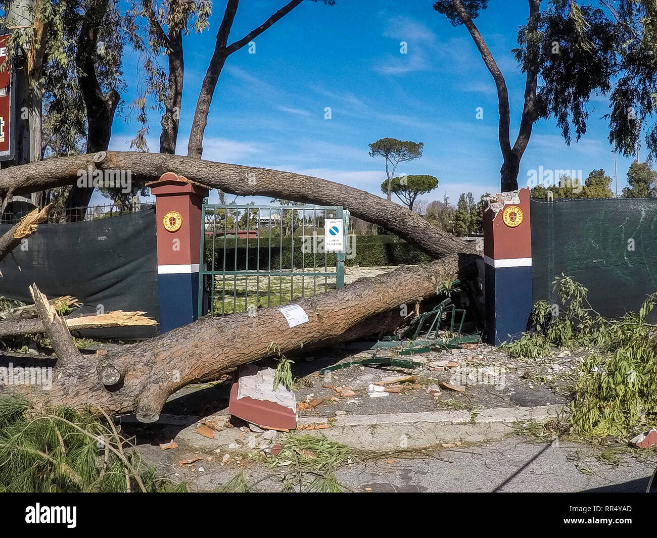 Roma polo club hi-res stock photography and images - Alamy