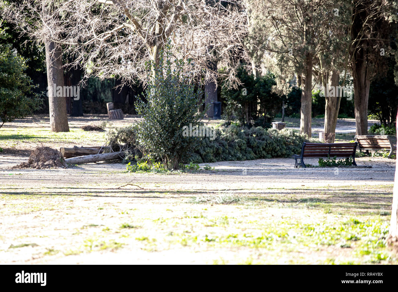 Parco Degli Scipioni High Resolution Stock Photography and Images - Alamy