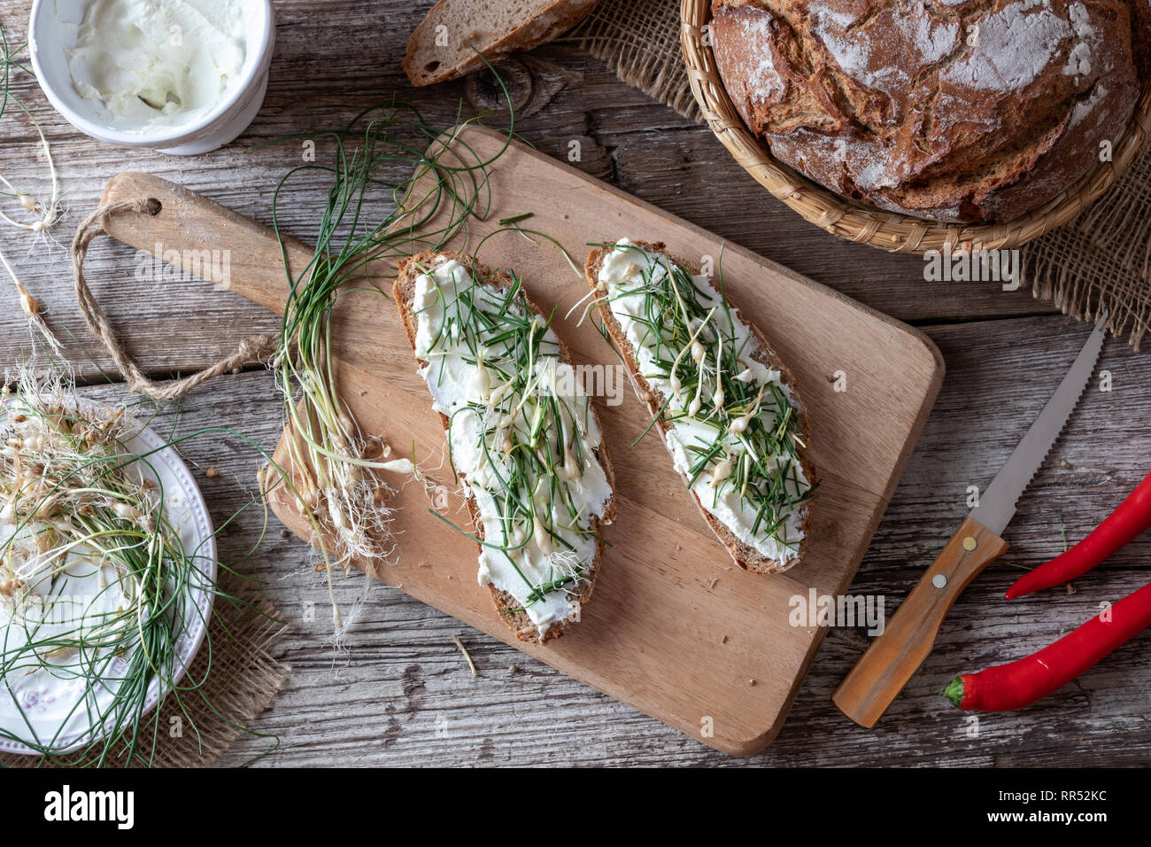 Sourdough Bread With Cottage Cheese And Wild Edible Plant Allium