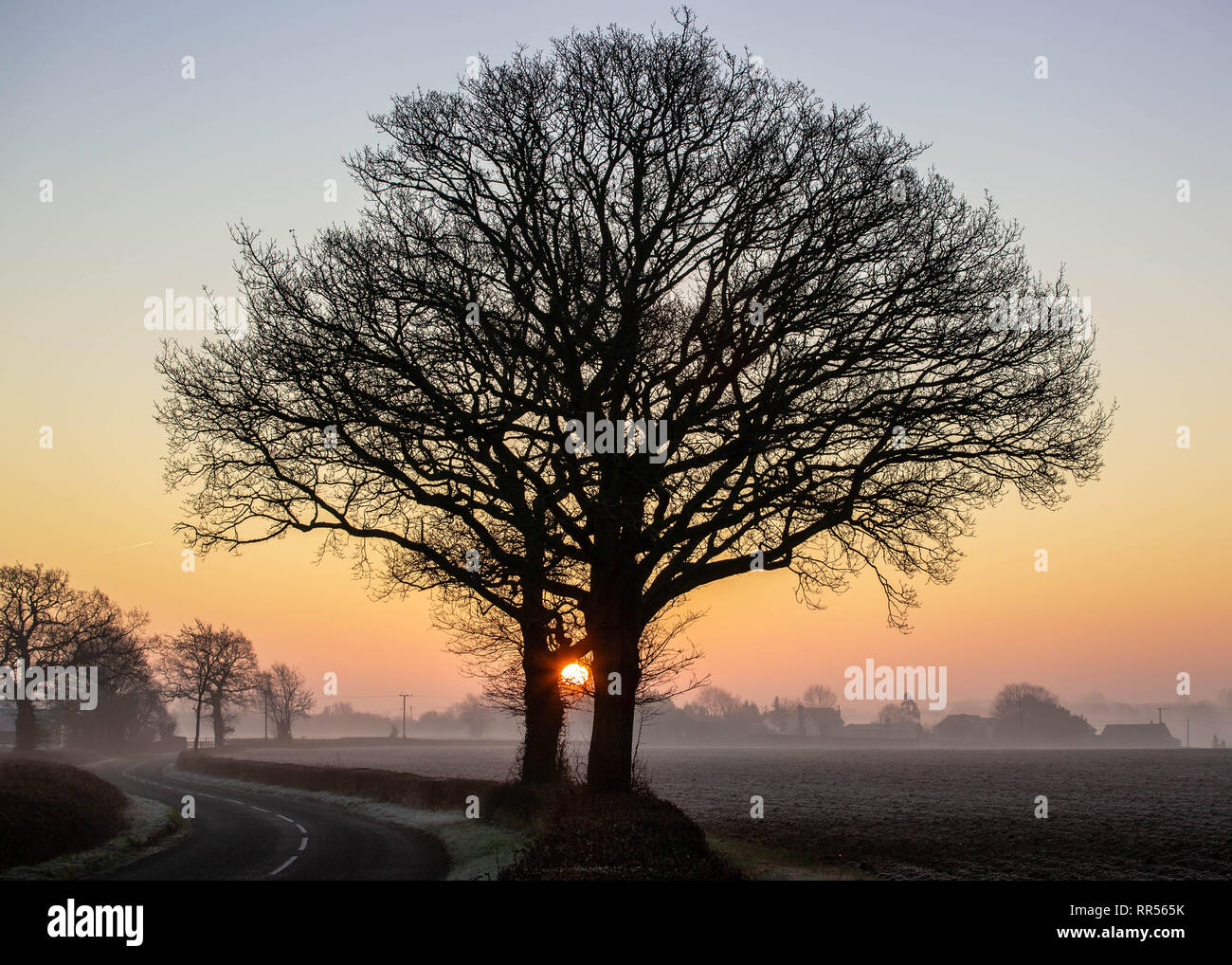 Lonely road in countryside hi-res stock photography and images - Alamy