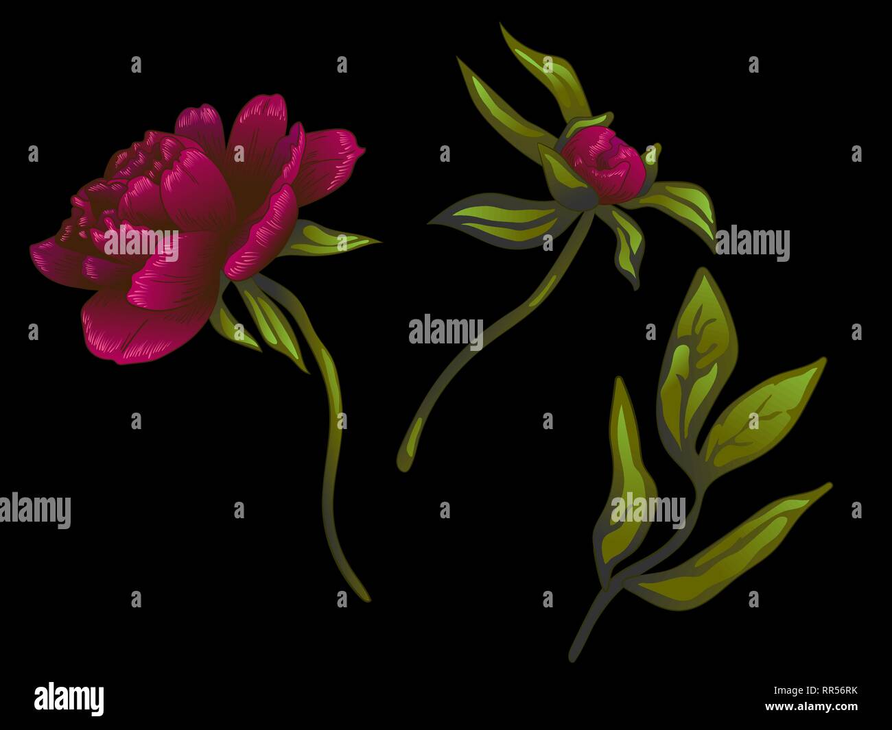 Burgundy Flower Stock Vector Images - Alamy