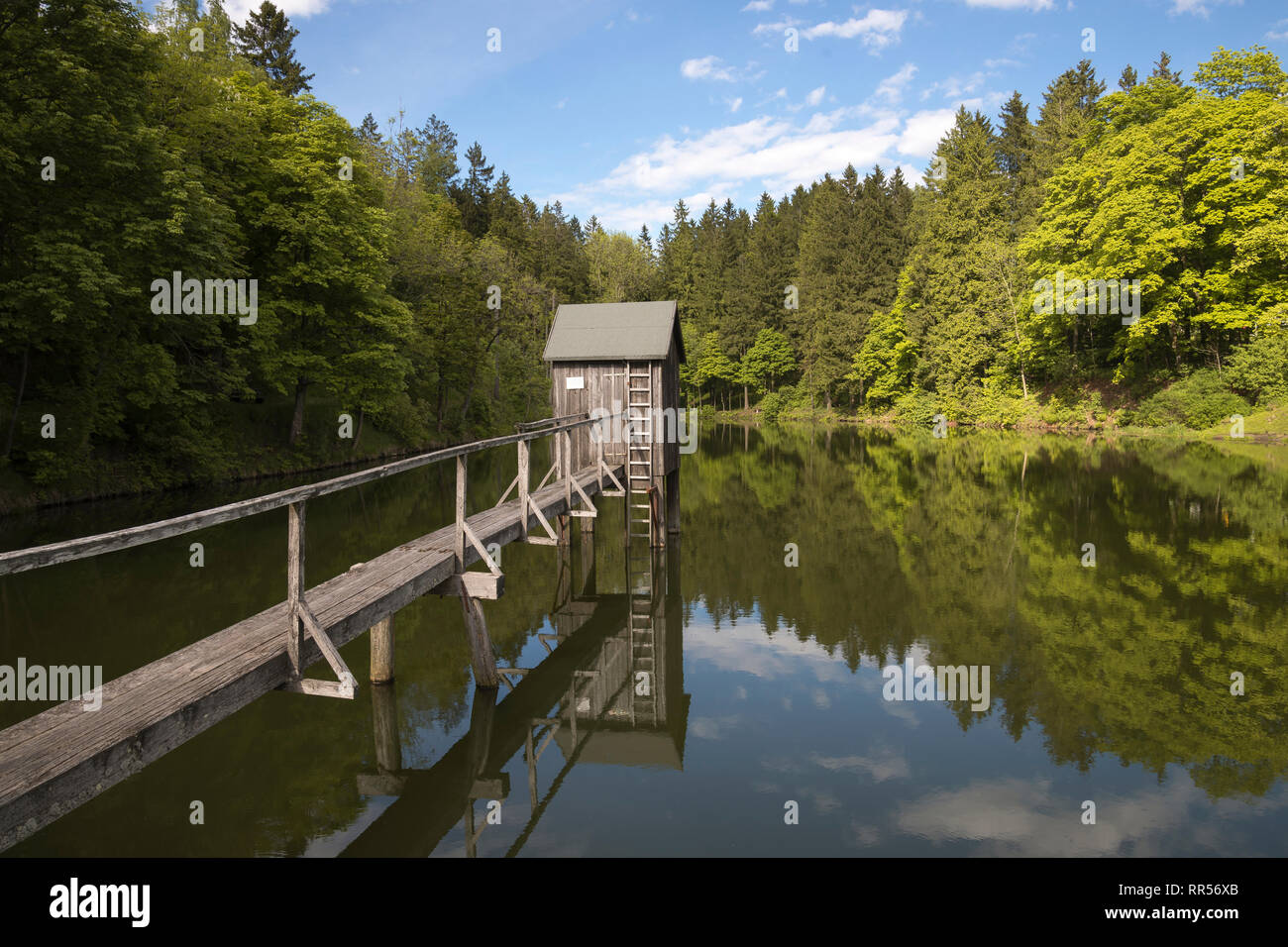Carler teich hires stock photography and images Alamy