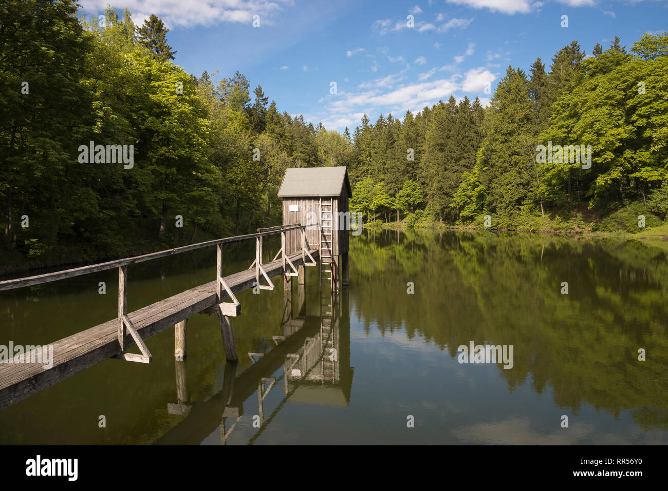Carler teich hires stock photography and images Alamy