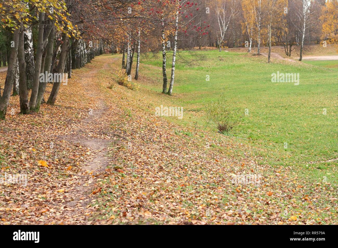 autumn in city park at day Stock Photo - Alamy