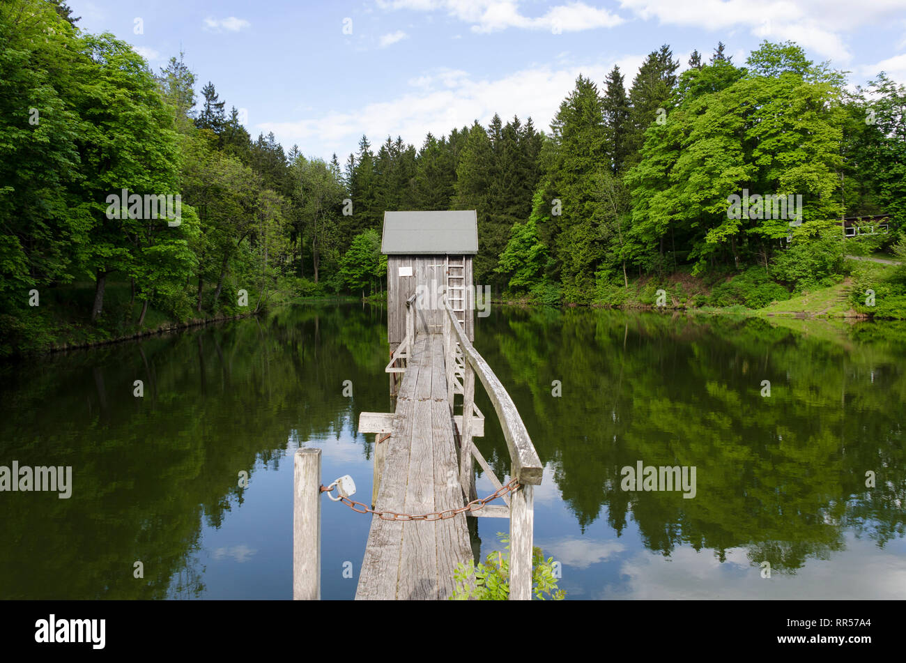 31+ Der Carler Teich, Rechts an dem teich vorbei, dem schmalen pfad