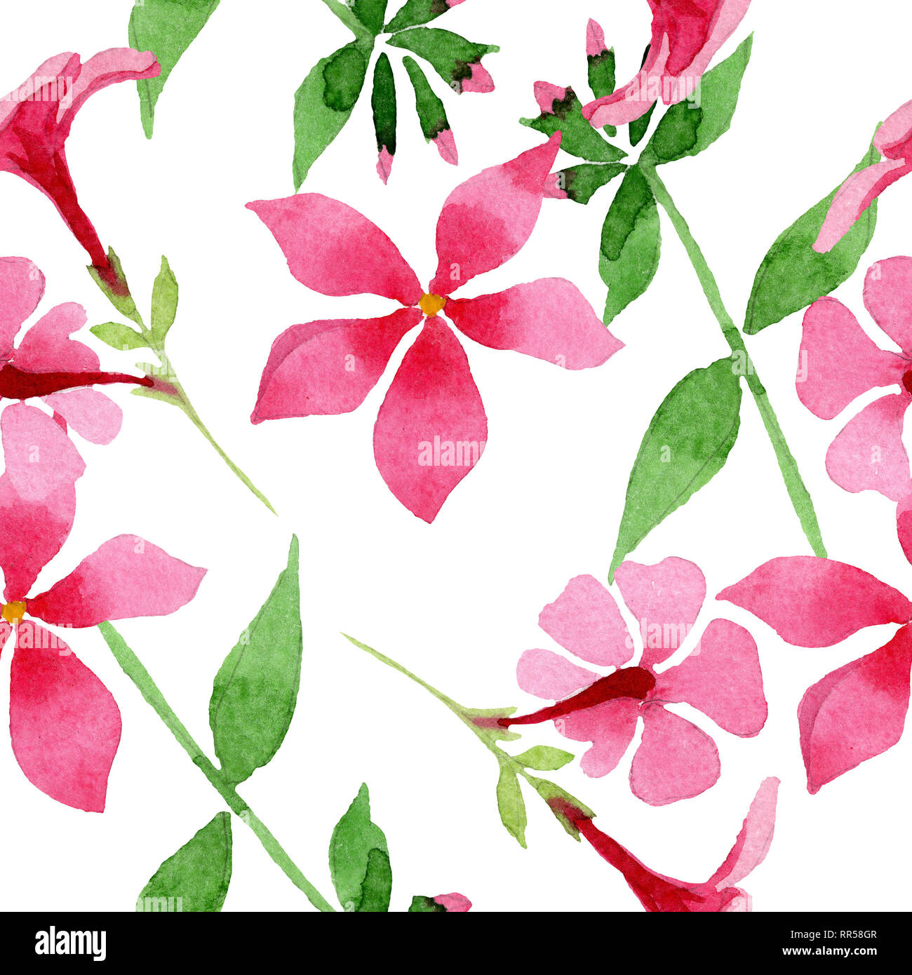 Pink phlox foral botanical flower. Watercolor background illustration set. Seamless background pattern. Stock Photo