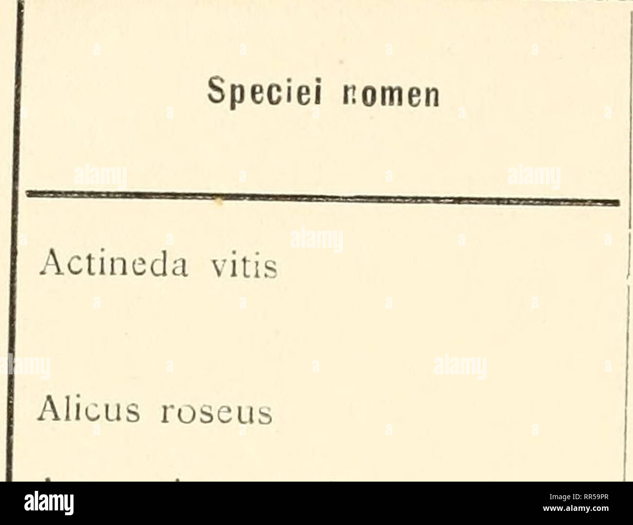 . Acari, Myriopoda et Scorpiones, hucusque in Italia reperta ... [fasc. 1-4]. '3°. AlicLis roseus Amnionia caerulipcs » latirostris Bdella capillata » lignicola » longirostris » nigerrima )' virgulata &gt;^ vulgaris Bryobia prctiosa » spcciosa Caccuius ecliinipes Caligonus cerasinus » liumilis » petrobius » robustus » scapularis Cheyletieila Chanay » hctcropalpa » parasitivorax Auctor (vel auctores) qui piinutus speciem invenerunt et quo temporc Schrank 1781 Koch Jj Duges i8j4 Hermann 1804 Kramer 1881 G. Canestrini 1886 Ilermann 1804 G. Can, e Fanzago i 887 G. Can. c l'&quot;anzago 1887 Ilcrma Stock Photo