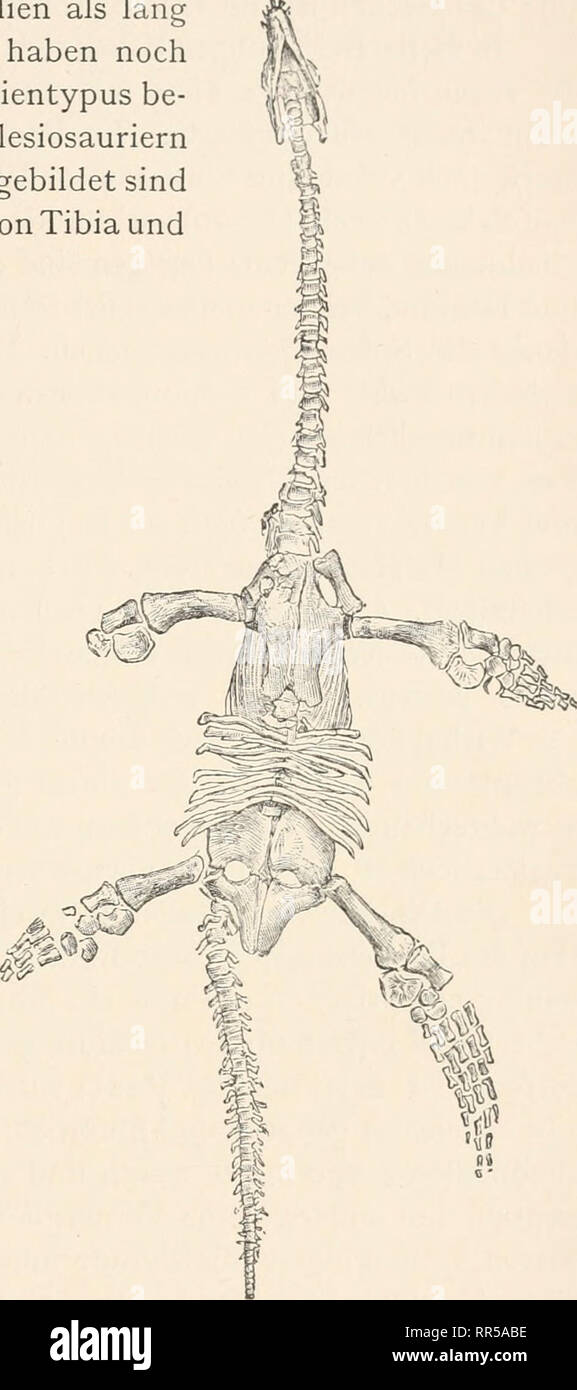 . Abstammungslehre, Systematik, Paläontologie, Biogeographie;. Biology