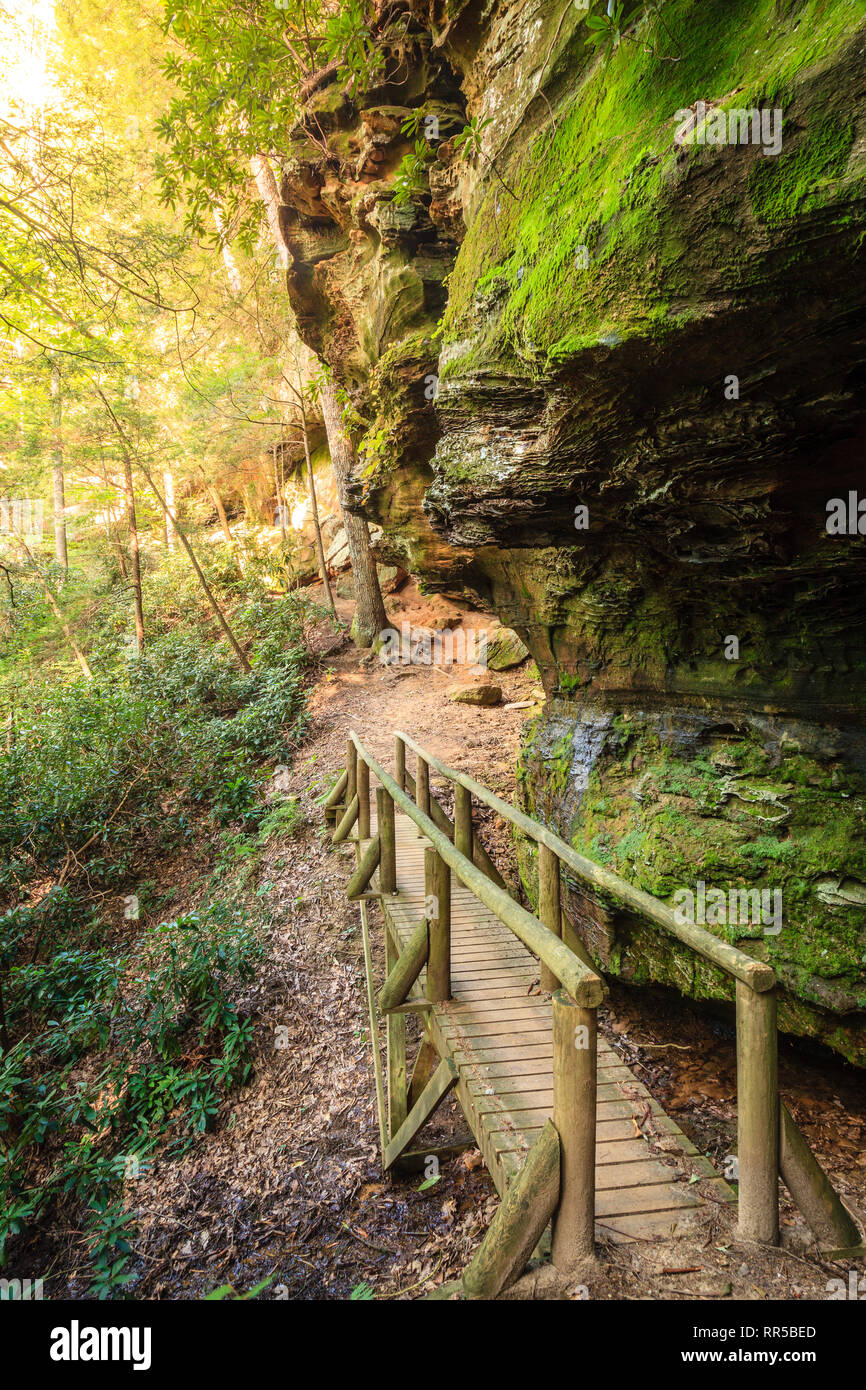 Hiking trail in Natural Bridge State Park in Kentucky Stock Photo