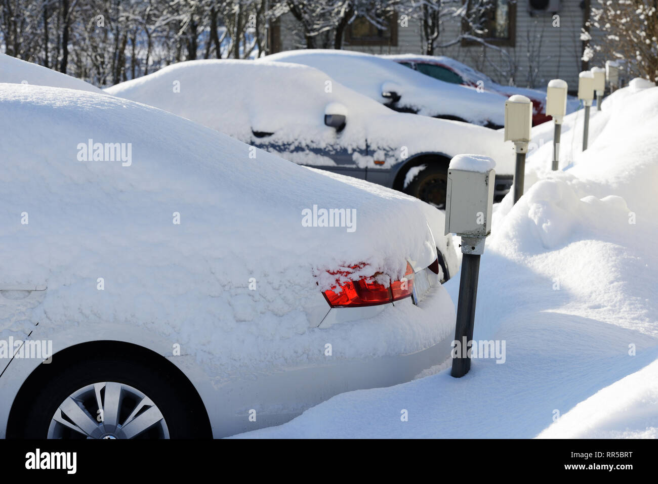 cars covered in snow in the parking lot Stock Photo - Alamy