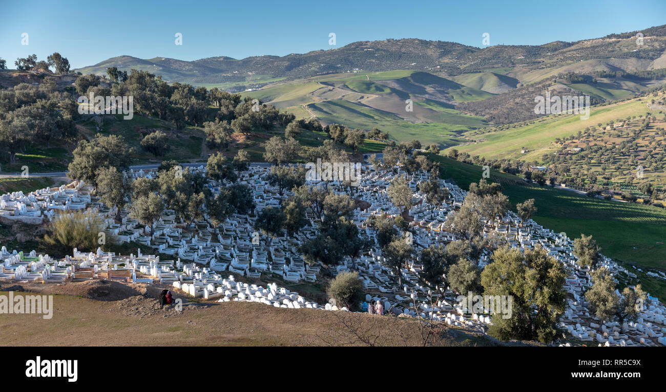 Muslim cemetery and green valley viewed from hilltop behind the Merenid tombs, Fes, Morocco Stock Photo