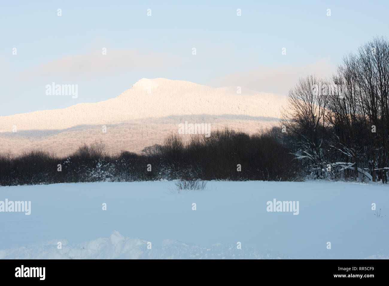 Bieszczady Mountains. A view over Hnatowe Berdo peak of Połonina Wetlińska range. winter snowy landscape. Snow-capped peak. Stock Photo