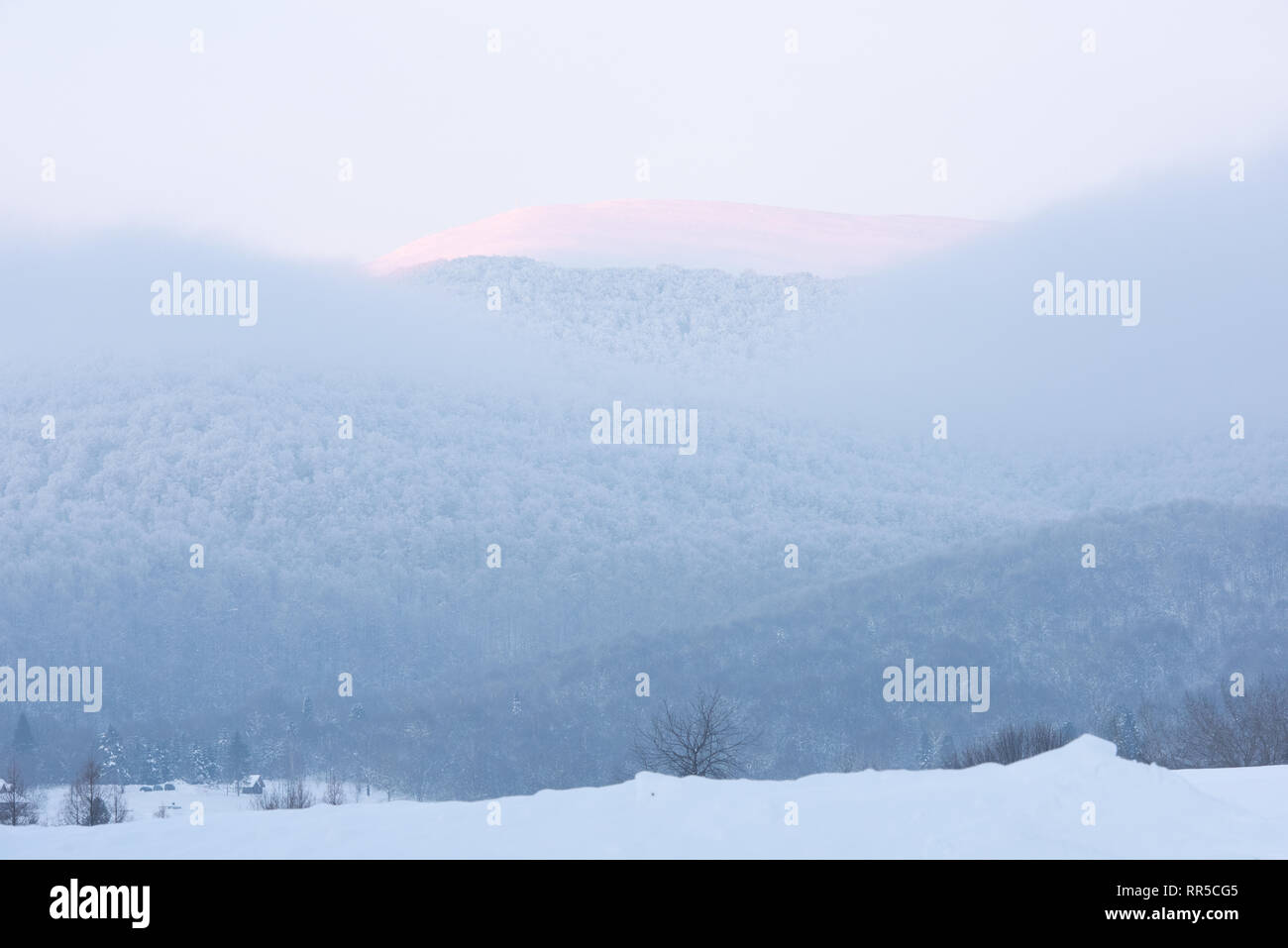 Mystic Winter Landscape Foggy Deciduous  Forest Mountains view background Travel serene scenic scenery with pink colored cloud Stock Photo