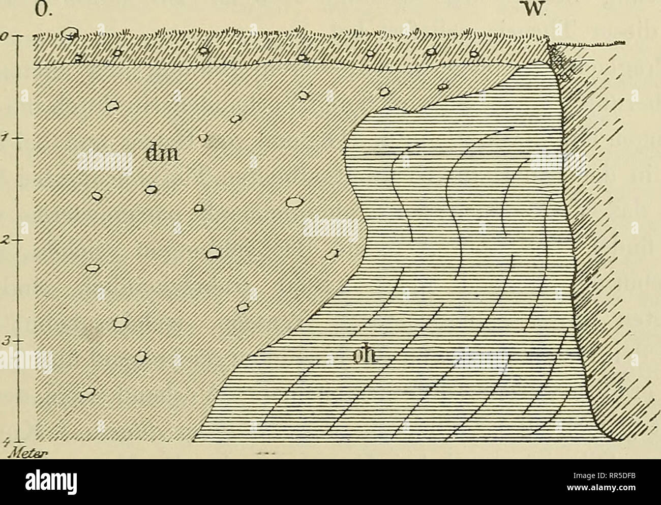 . Abhandlungen zur geologischen Specialkarte von Preussen und den Thüringischen Staaten. Die Gegend westlich der Eibniederung. 55 Blöcke bis zu 1 m Durchmesser. Einige davon waren geschrammt und gekritzt. Fig. 5 bringt ein Profil, welches in der Einfahrt in die Thongrube sichtbar ist. — Die Kuppe des Hummelsberges wird von Grand eingenommen, welcher sich auf feineren, in der Thongrube östlich vom Aussichtspunkte aufgeschlossenen Diluvial- sand legt. An der Südseite dieser Grube keilt sich der über dem Olififocänthon liegende Diluvialsand aus und ersterer wird an dieser Stelle von typischem Bör Stock Photo