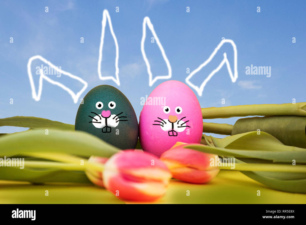 painted Easter eggs with bunny face and blue sky, lying in tulips, easter spring concept Stock Photo