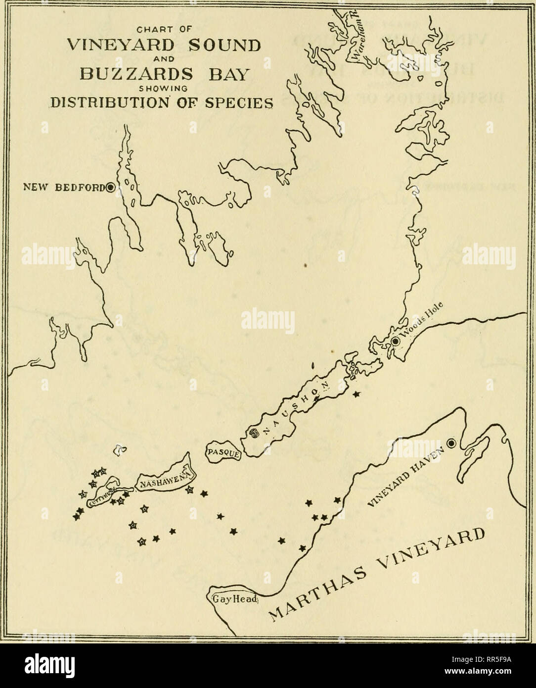 . [A biological survey of the waters of Woods Hole and vicinity. Marine animals; Marine plants. 4o8 BULLETIN OF THE BUREAU OF FISHERIES.. Chart 190.—Molgula arenata and Eugyra glutinans. The stars of solid black denote those stations from which the first-named species was recorded, the dotted stars denoting those stations from which the second was recorded. Owing to the probability that these two species were in some cases confused, their occurrence has been plotted upon a single chart.. Please note that these images are extracted from scanned page images that may have been digitally enhanced  Stock Photo