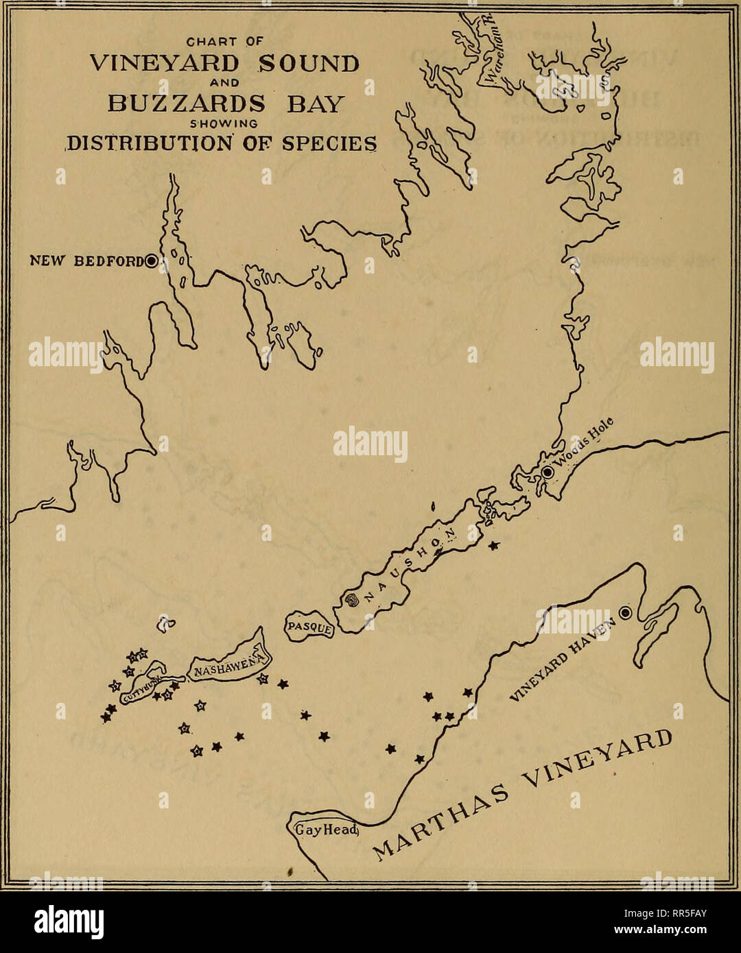 . [A biological survey of the waters of Woods Hole and vicinity. Marine animals; Marine plants. 408 BULLETIN OF THE BUREAU OF FISHERIES.. Chart 190.—Molgula arenata and Eugyra glutinans. The stars of solid black denote those stations from which the first-named species was recorded, the dotted stars denoting those stations from which the second was recorded. Owing to the probability that these two species were in some cases confused, their occurrence has been plotted upon a single chart.. Please note that these images are extracted from scanned page images that may have been digitally enhanced  Stock Photo