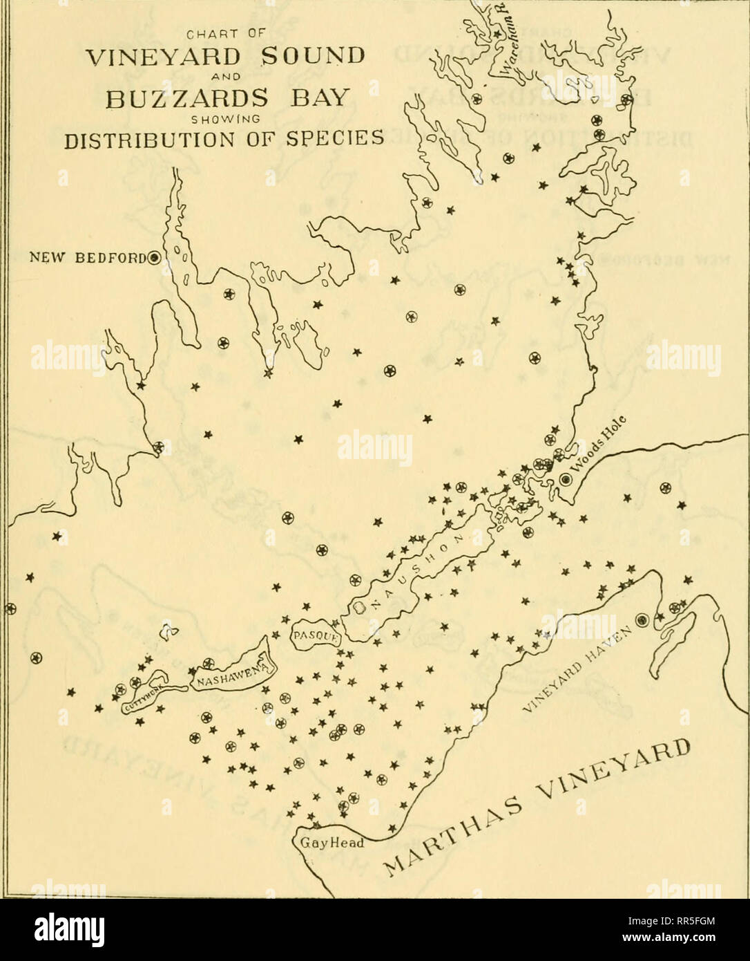 . [A biological survey of the waters of Woods Hole and vicinity. Marine animals; Marine plants. BIOI.OGICAL SURVEY OP WOODS HOI.E AND VICINITY. 367 CHART or VINEYARD SOUND AMD BUZZARDS BAY S HOW(NG DISTRIBUTION OF SPECIES )oc NEW BEDFORD®! 0. Chart 149.—Tellina tenera. (See explanation of chart 26.). Please note that these images are extracted from scanned page images that may have been digitally enhanced for readability - coloration and appearance of these illustrations may not perfectly resemble the original work.. Sumner, Francis Bertody, 1874-; Osburn, Raymond C. (Raymond Carroll), 1872-19 Stock Photo