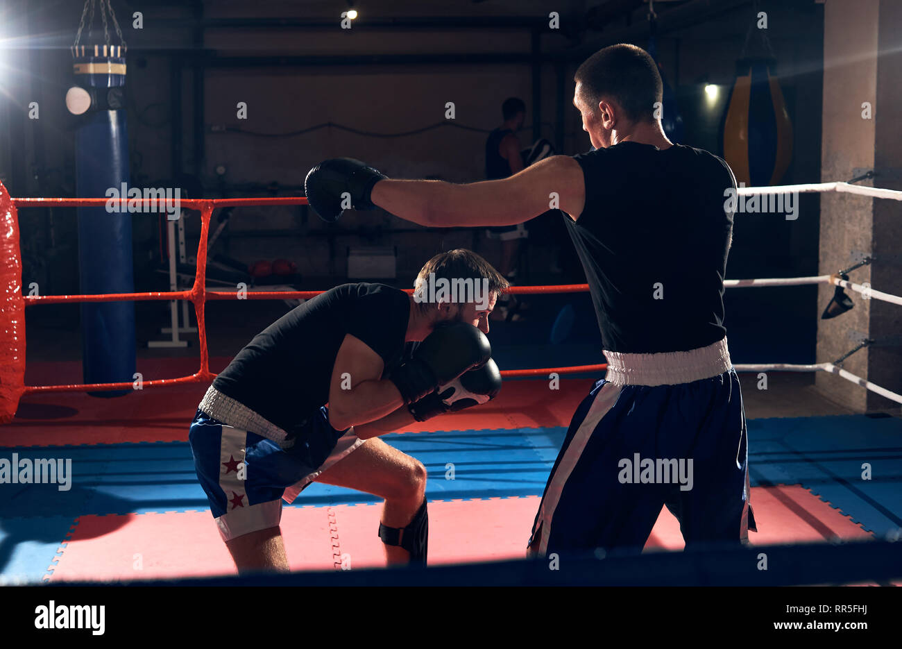 Two male fit boxers training kick boxing in the ring at the health club