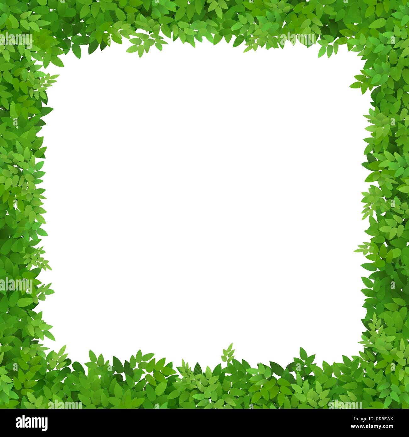 Square frame of leaves. Blank for advertising card. Stock Vector