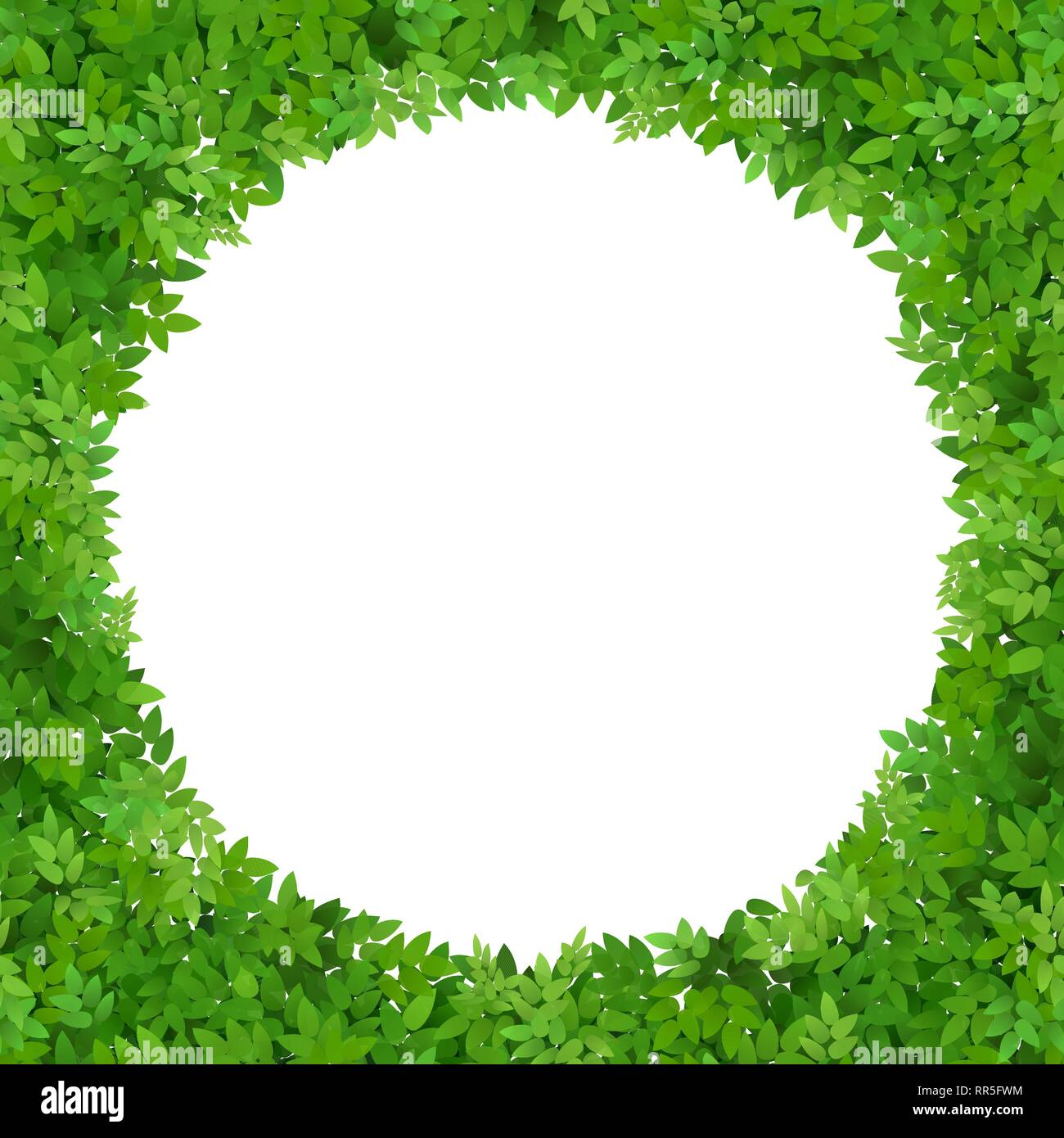 Circular frame of green leaves. Green foliage. Blank for card. Stock Vector