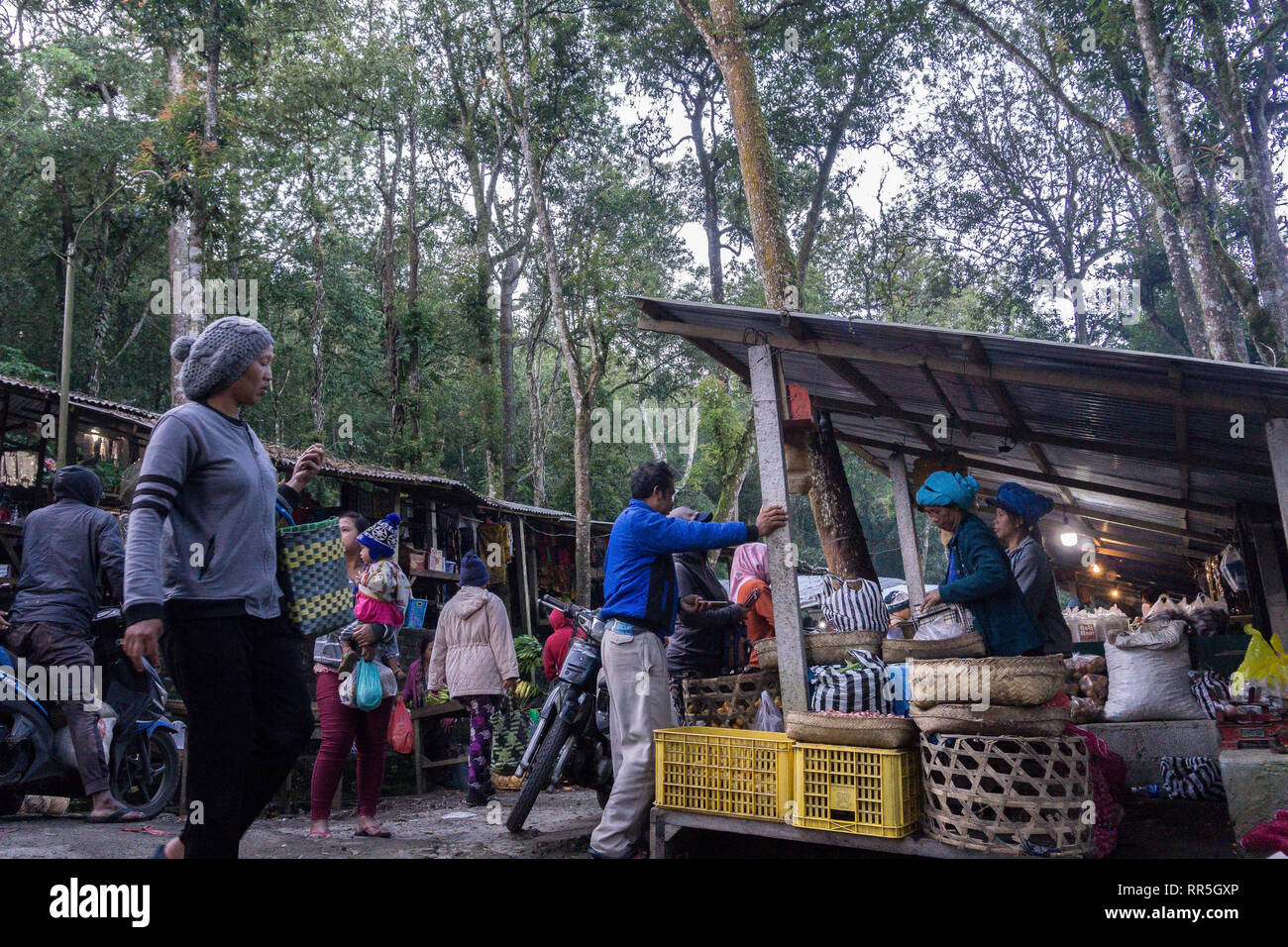 KINTAMANI,BALI-FEBRUARY 2019: An unique market locates near Batur mountain. Hiding between woods and forest, this market gives a different market view Stock Photo