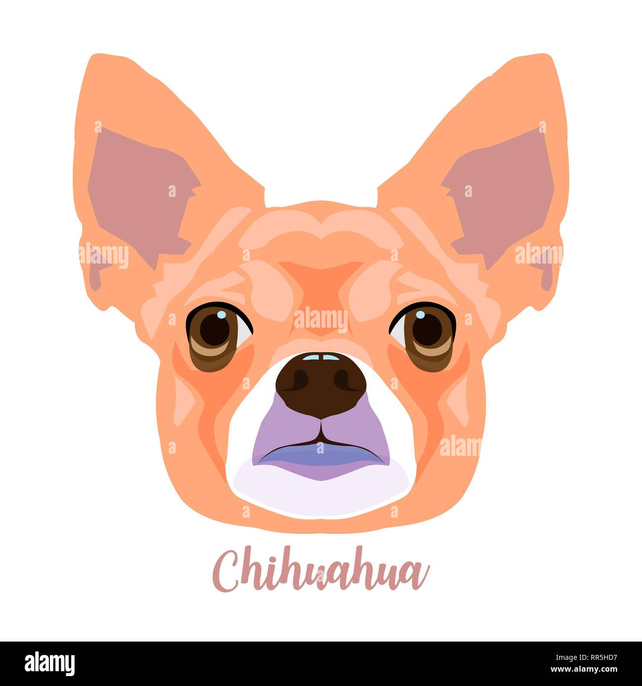 Portrait Of Adorable Chihuahua Dog Head On White Background Vector Illustration Stock Vector Image Art Alamy