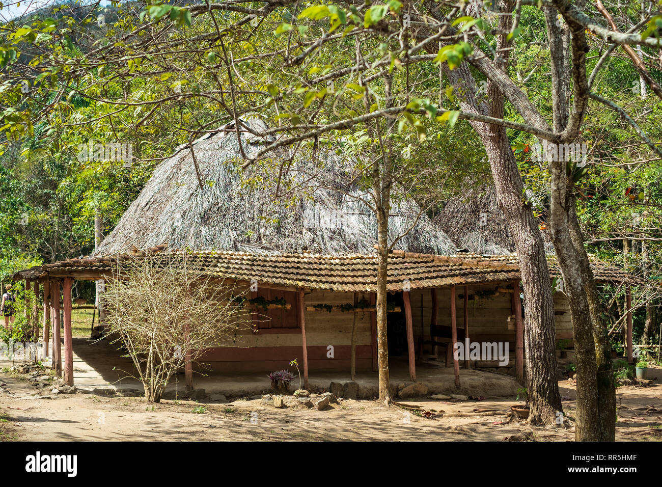 Thatched Hut in El Cubano National Park, Trinidad, Cuba Stock Photo