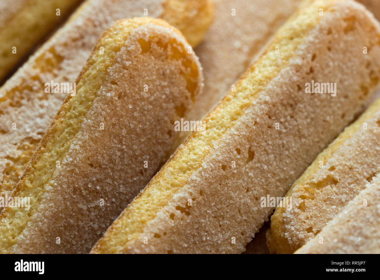 italian  savoiardi biscuits finger biscuits for tiramisu macro Stock Photo