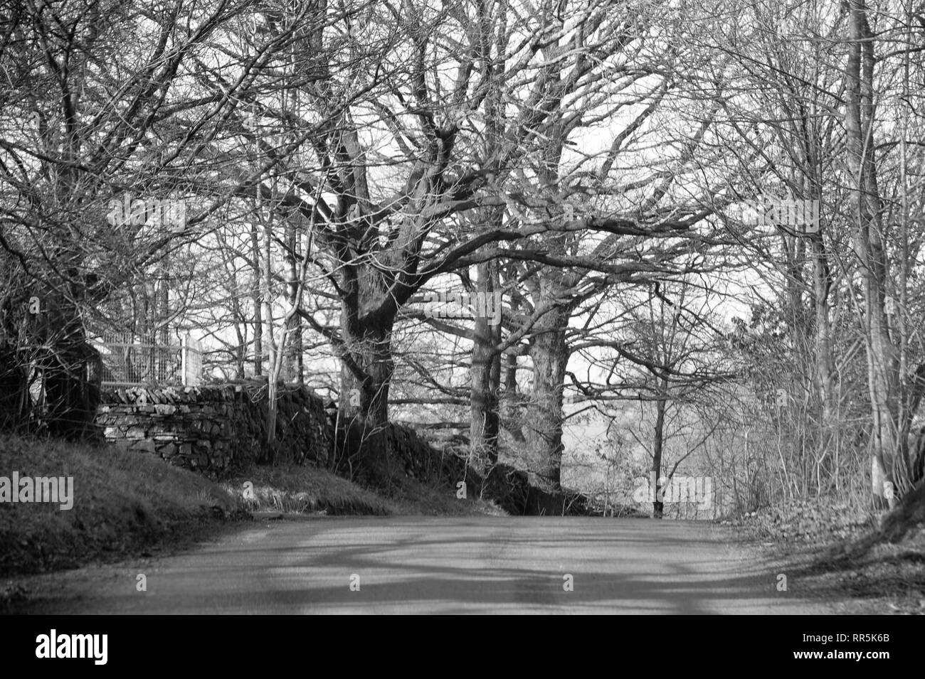 The Lake District, England Stock Photo Alamy