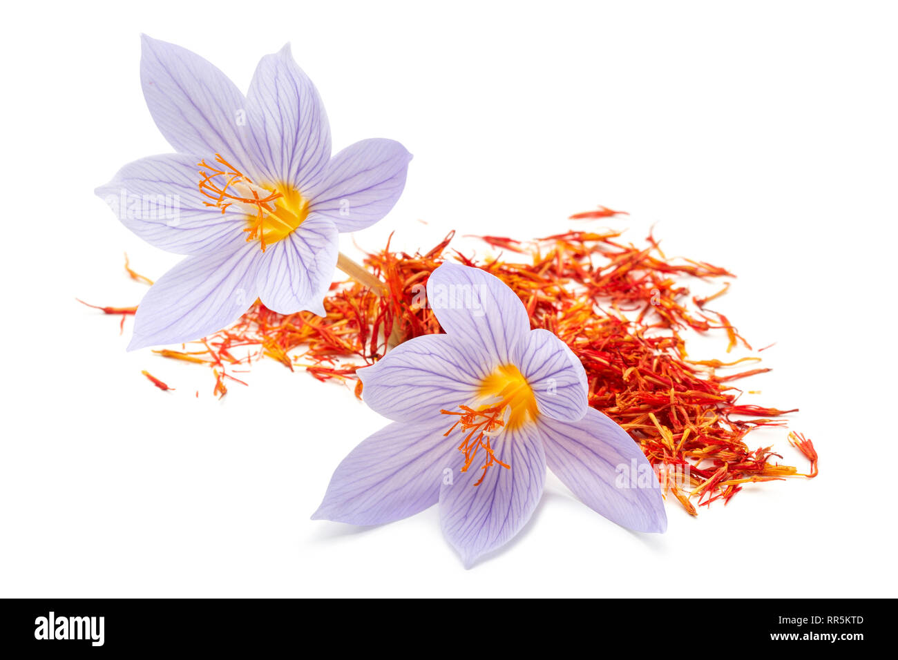 Saffron with crocus flower isolated on white background Stock Photo Alamy