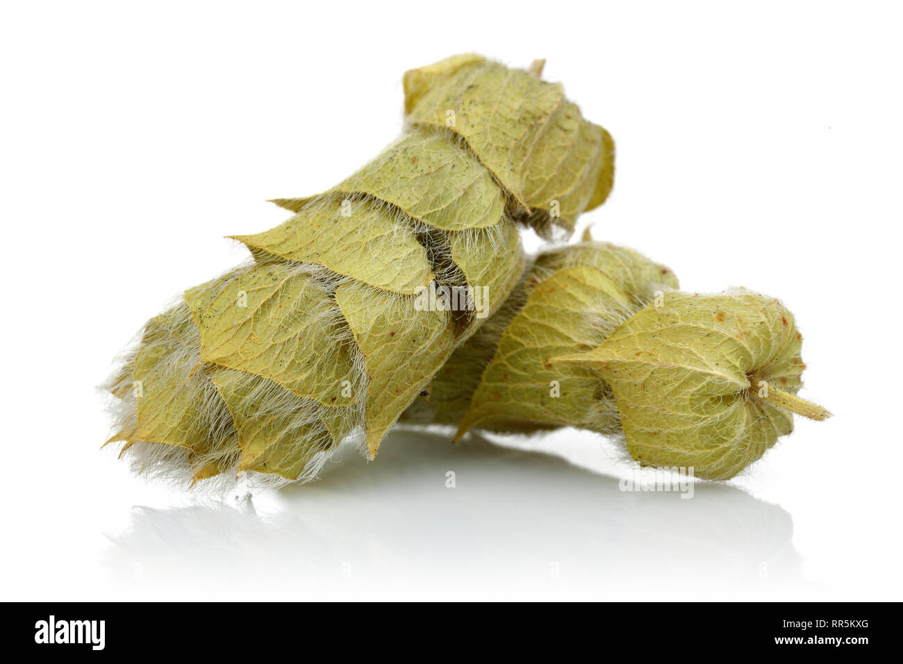 Dried sage flowers isolated on white background Stock Photo Alamy