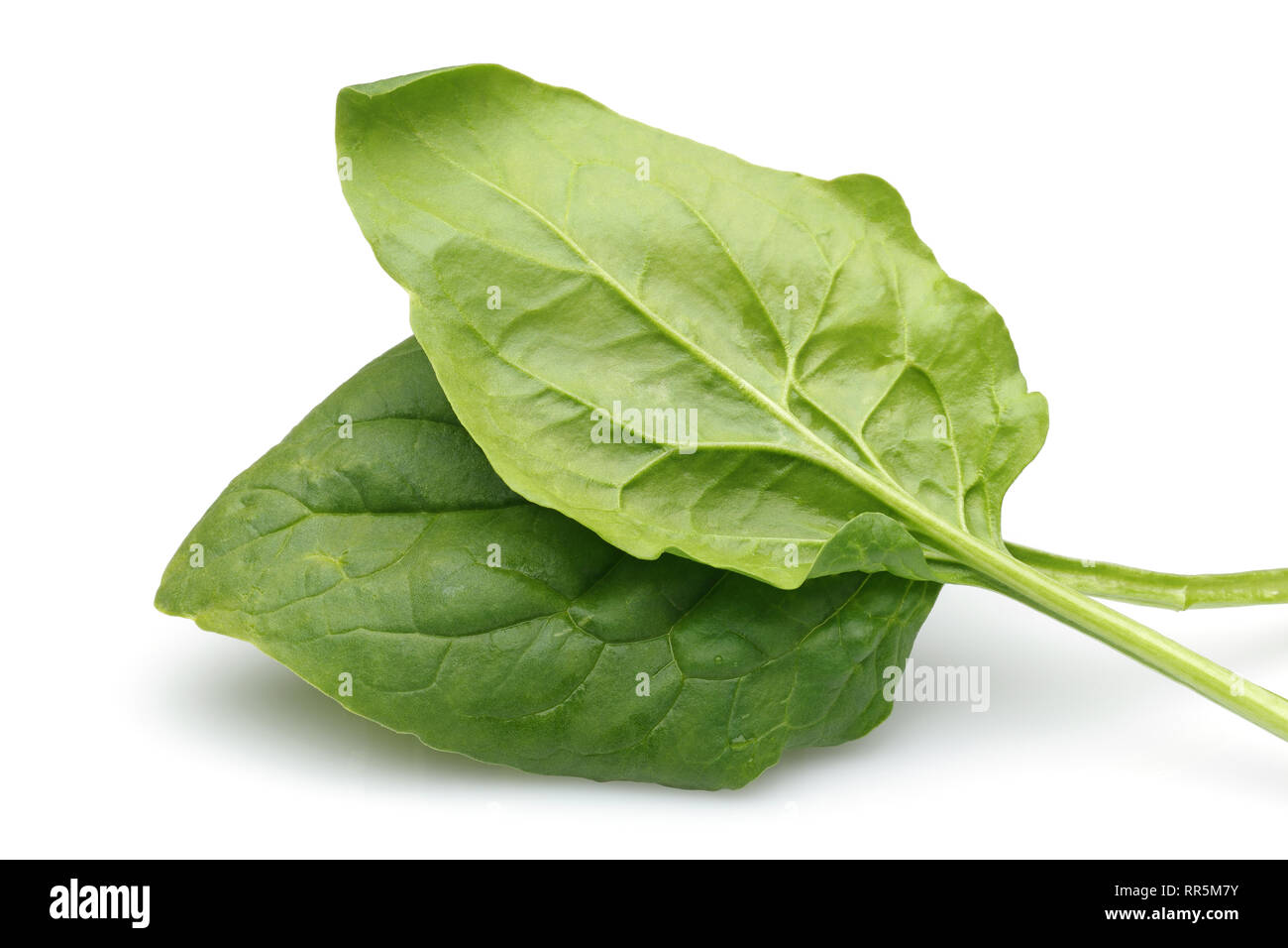Fresh spinach isolated on white background Stock Photo - Alamy
