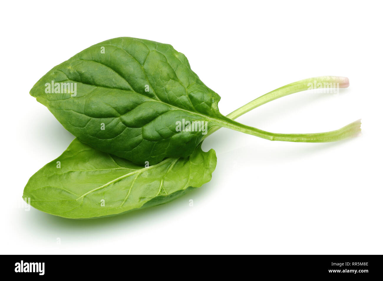 Fresh spinach isolated on white background Stock Photo - Alamy