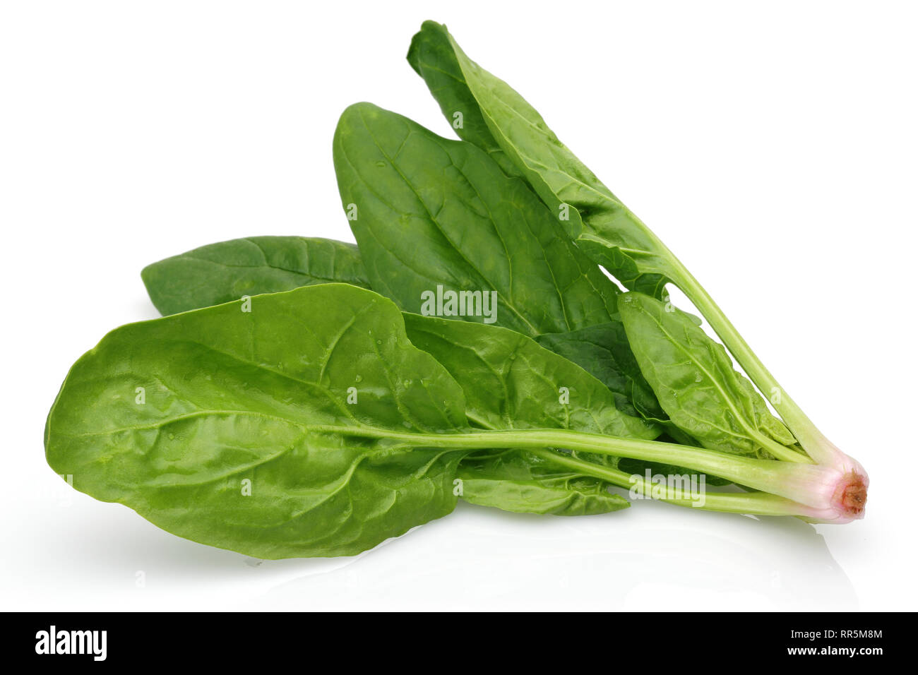 Fresh spinach isolated on white background Stock Photo - Alamy