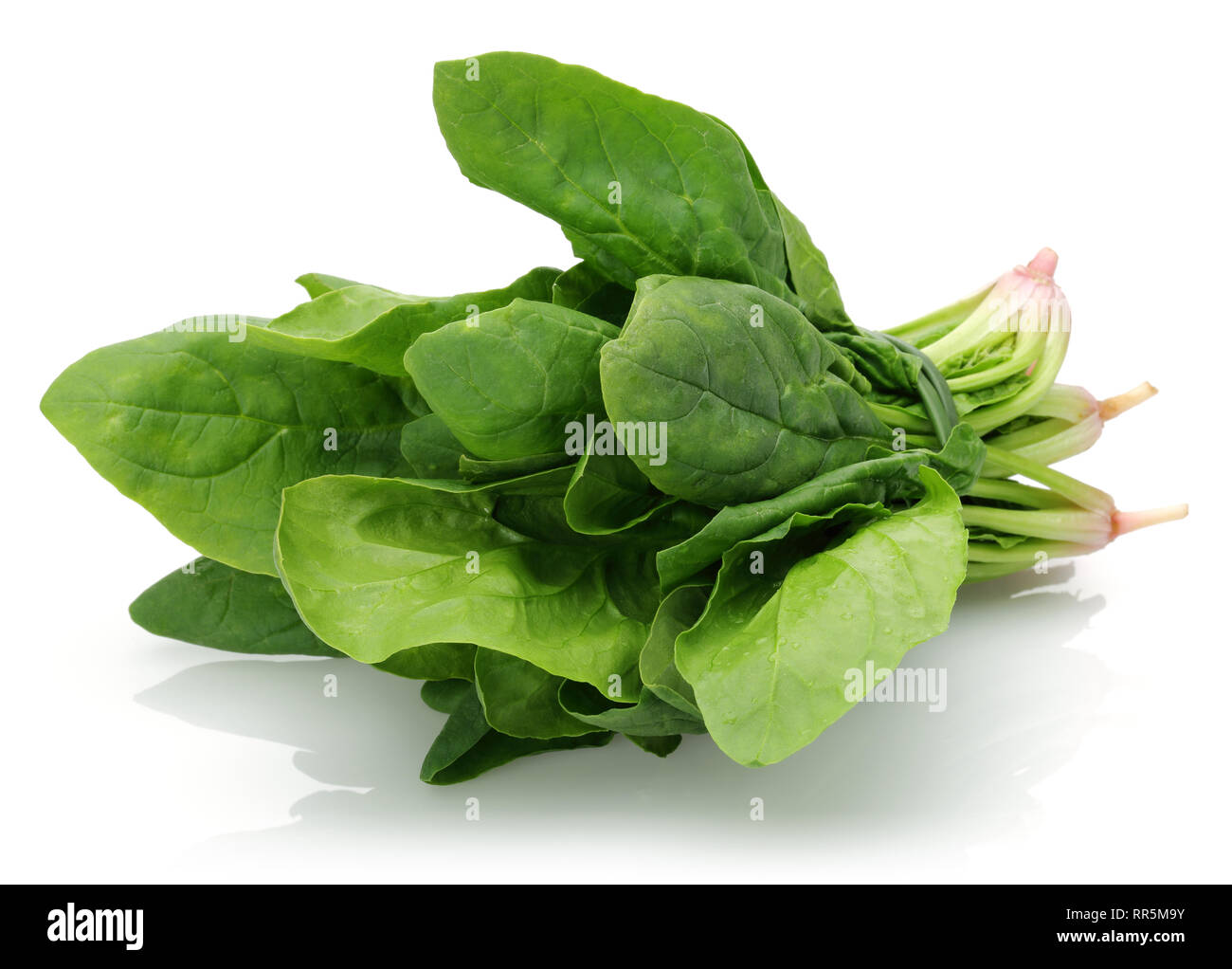 Fresh spinach isolated on white background Stock Photo - Alamy