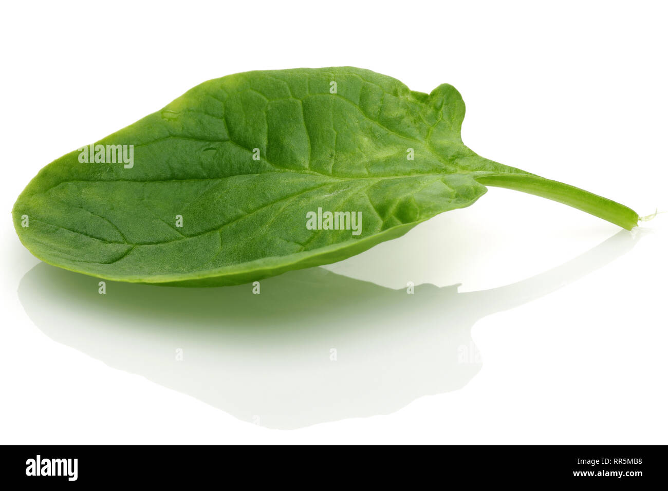 Fresh spinach isolated on white background Stock Photo - Alamy