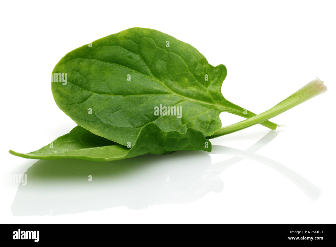 Fresh spinach isolated on white background Stock Photo - Alamy