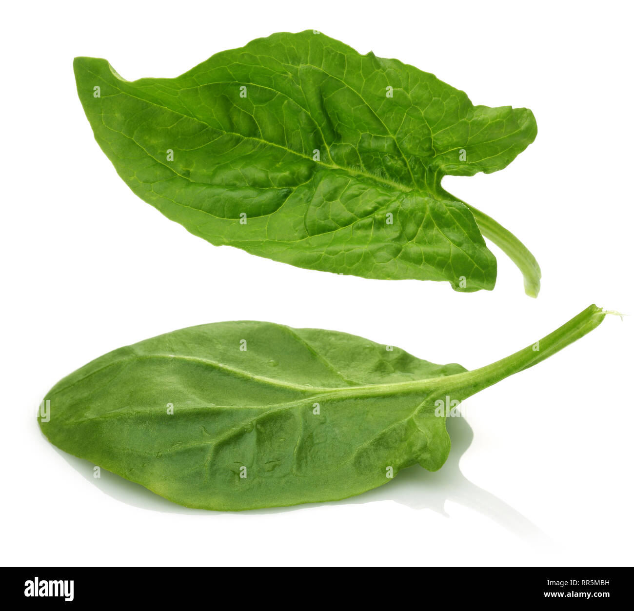 Fresh spinach isolated on white background Stock Photo - Alamy