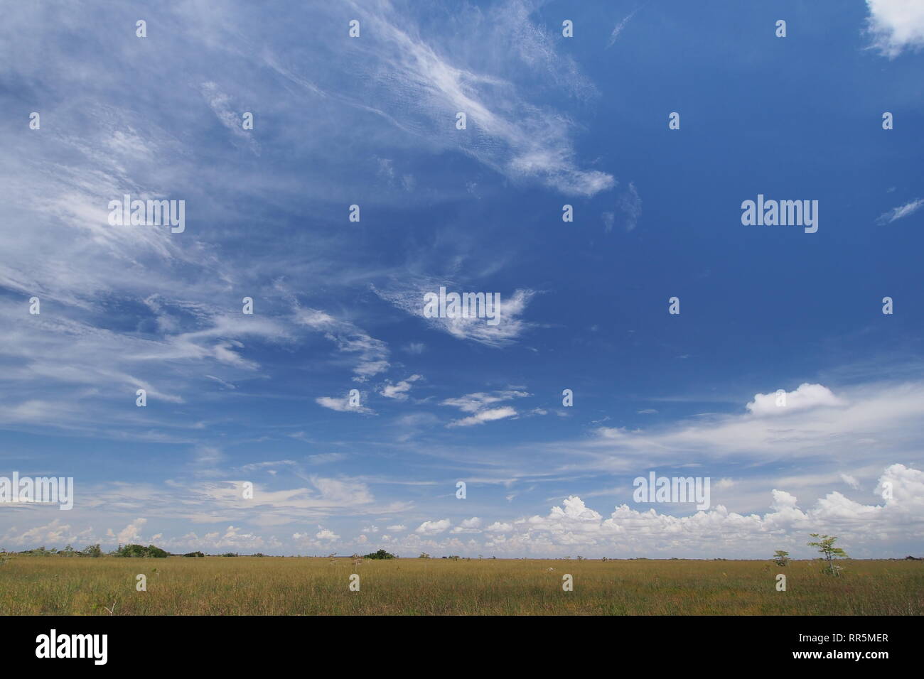 Clouds over the expanse of sawgrass in Everglades National Park, Florida. Stock Photo