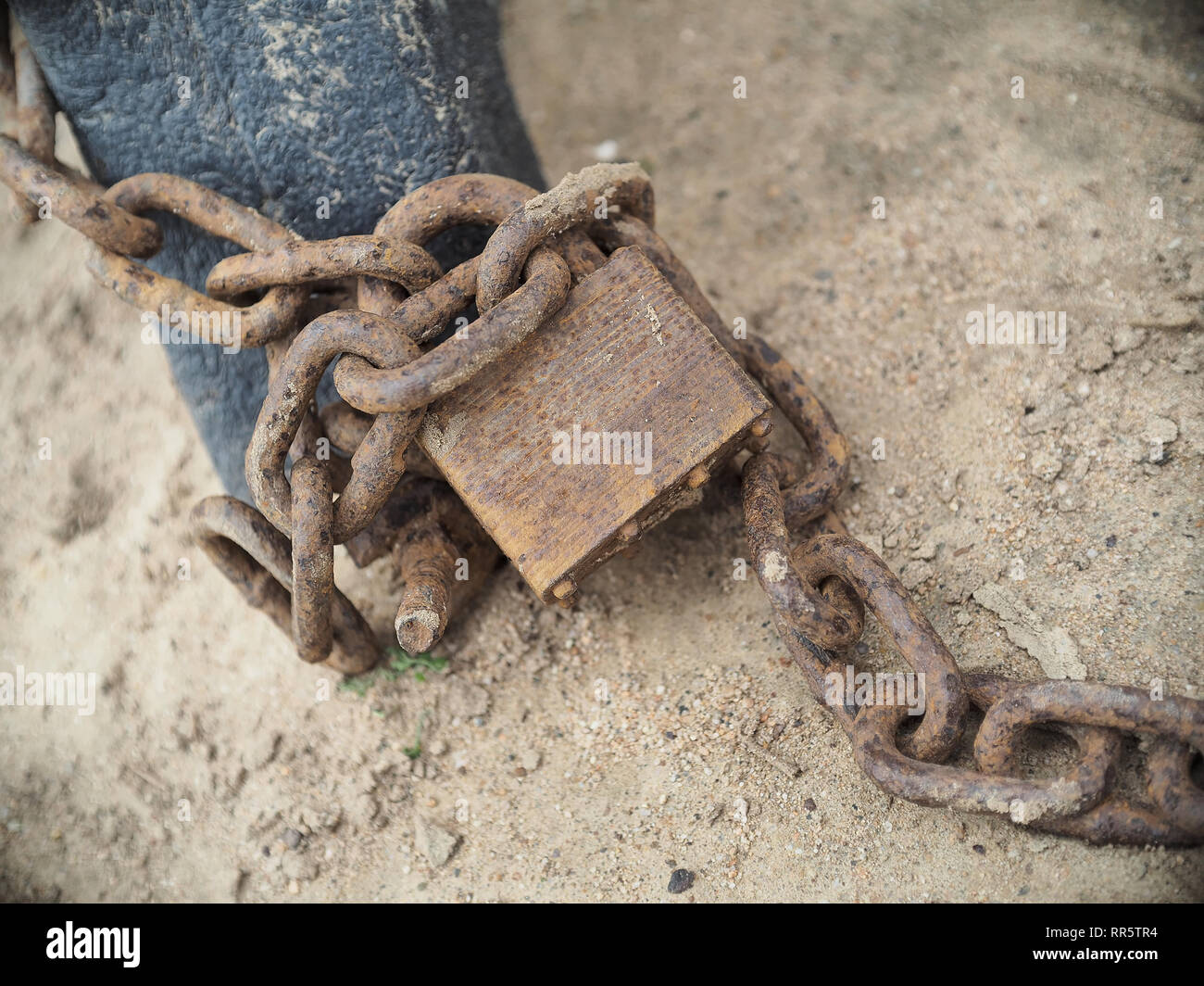 Very rusty padlock and chain Stock Photo