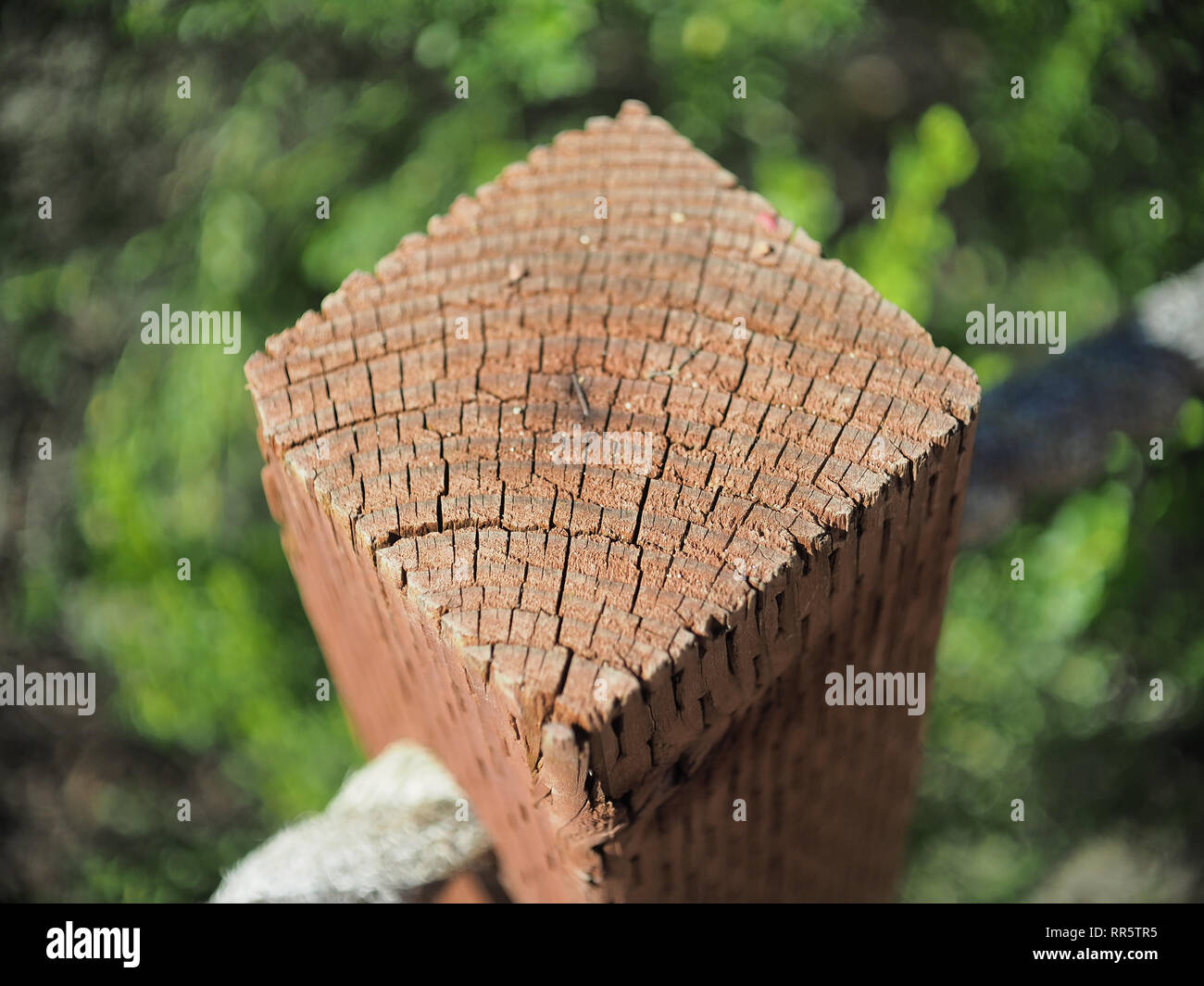 Square wooden post close-up Stock Photo