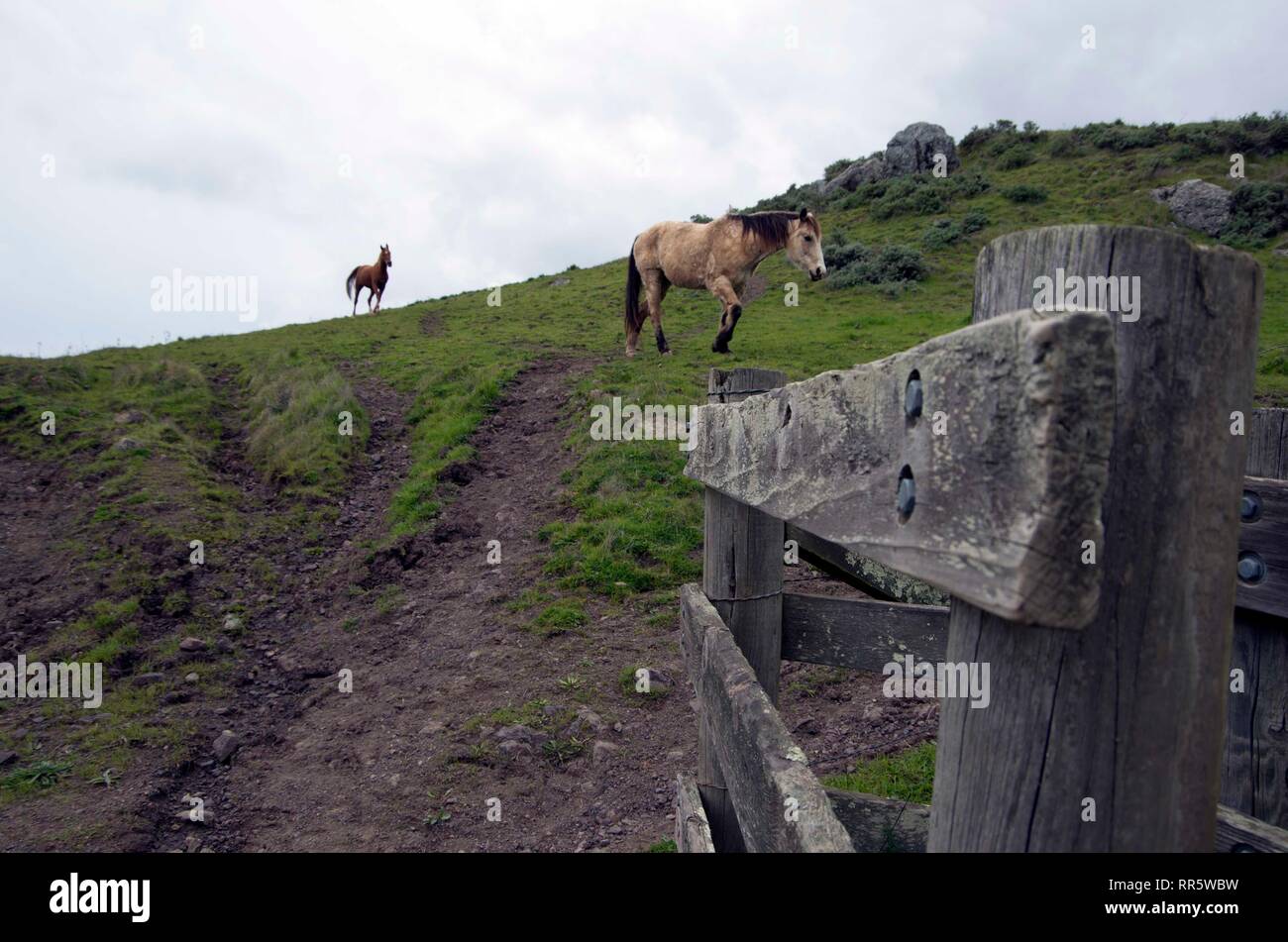 Horse Hill in Marin County is a public park where privately owned