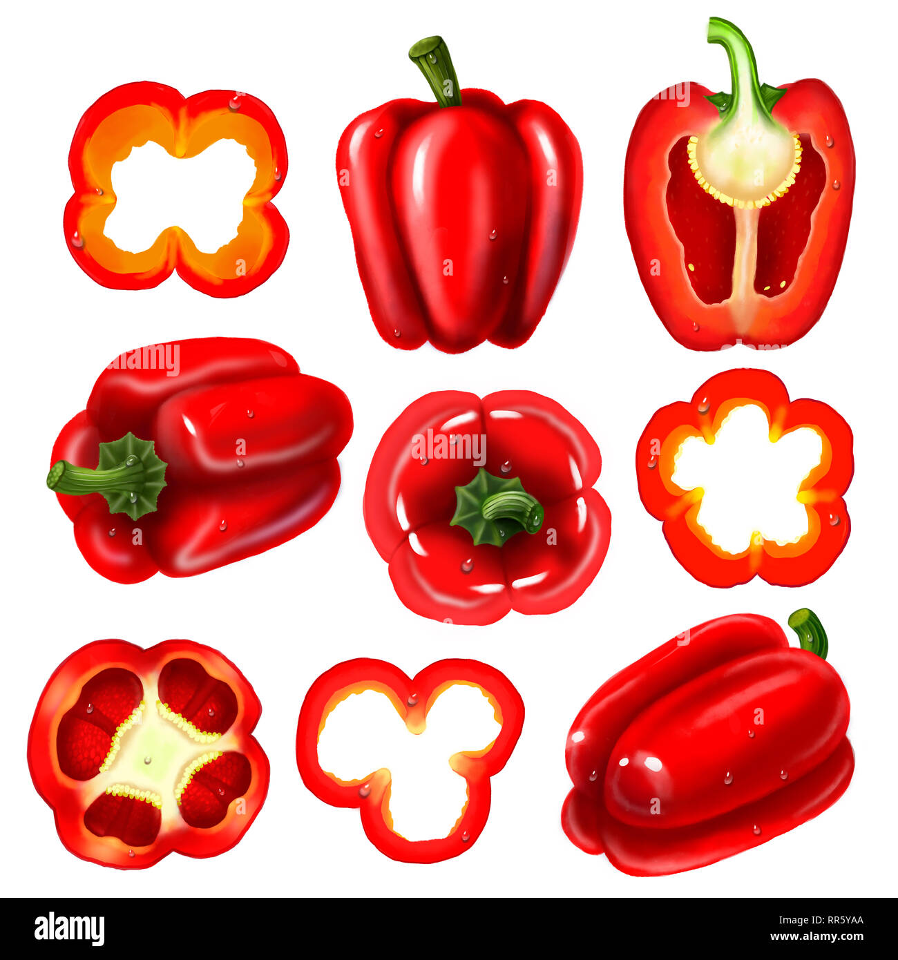 Large set. Illustration of a red bell pepper. Stock Photo