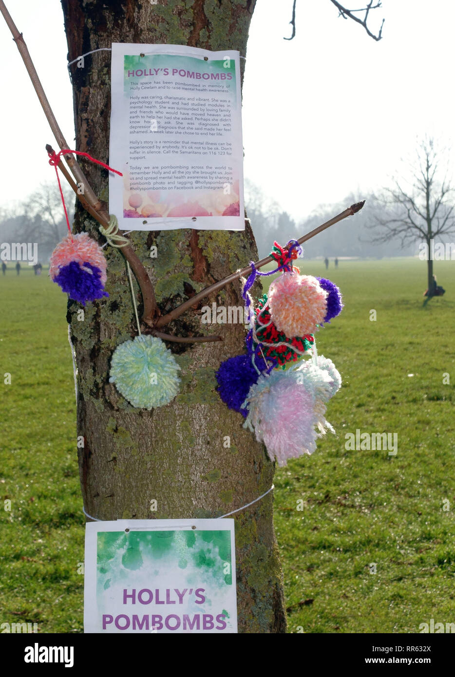 Mental health awareness memorial on Peckham Rye Common to student Holly Cowlam who took her life, South East London Stock Photo