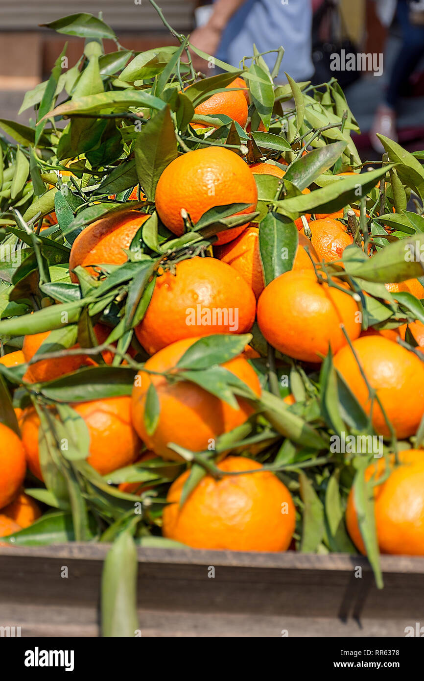 Pile of freshly picked oranges with leaves ready for sale at a market